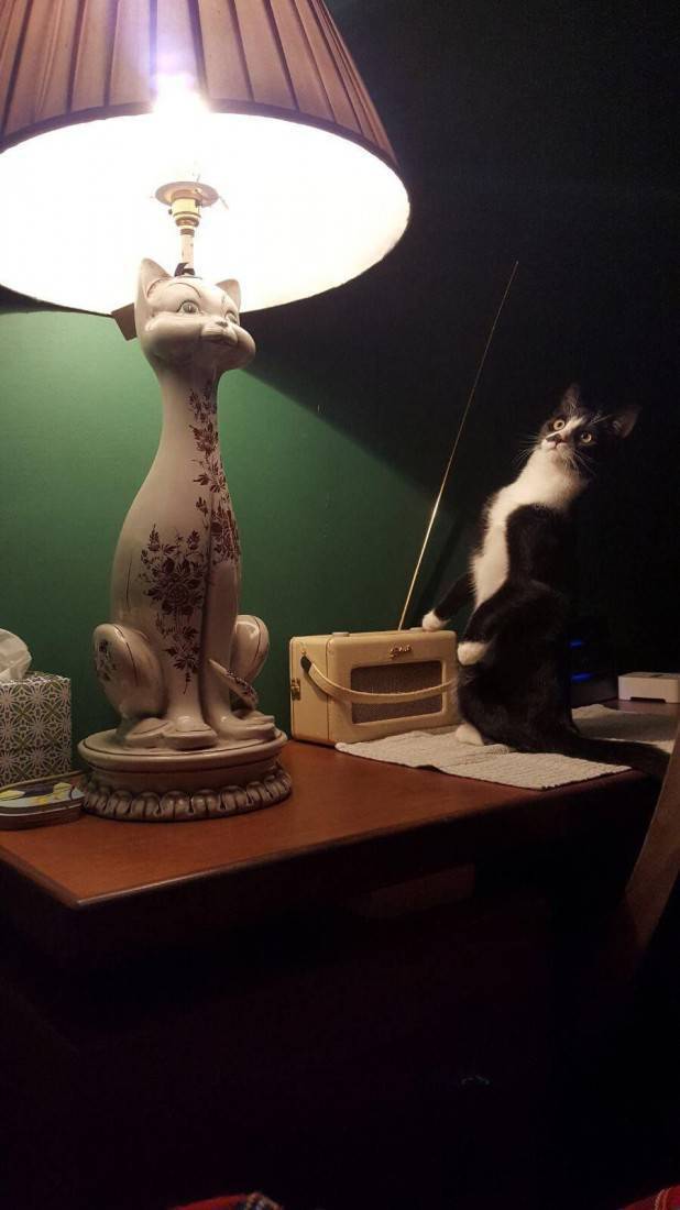 Daily Picdump