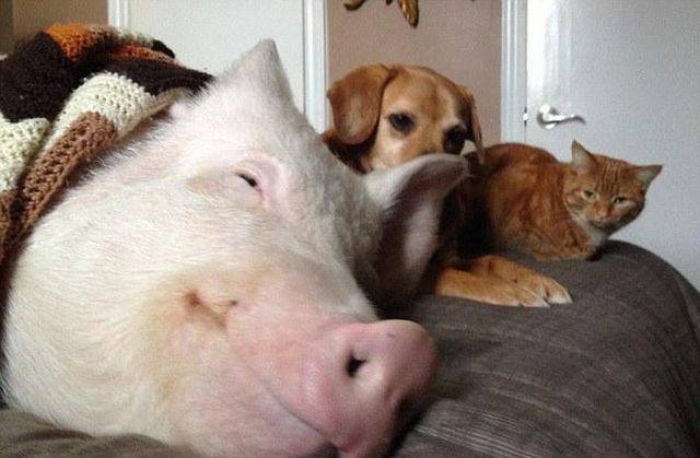 daily picdump 104 pics 34.html - 104 HD Photos | Premium Gallery 2017