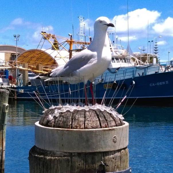 daily picdump 104 pics 34.html - 104 HD Photos | Premium Gallery 2017