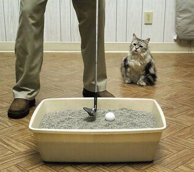 daily picdump 104 pics 34.html - 104 HD Photos | Premium Gallery 2017