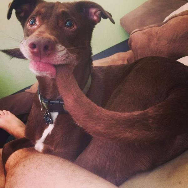 daily picdump 101 pics 8.html - 101 HD Photos | Premium Gallery 2017