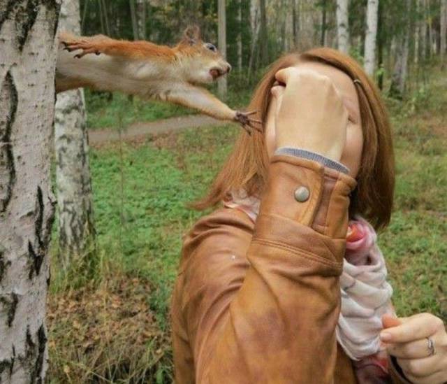 daily picdump 101 pics 8.html - 101 HD Photos | Premium Gallery 2017