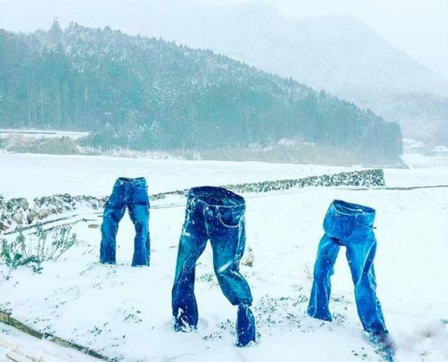 daily picdump 101 pics 8.html - 101 HD Photos | Premium Gallery 2017