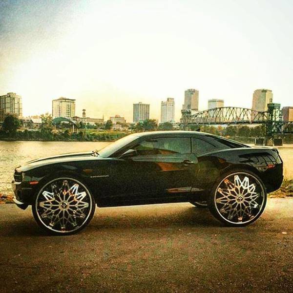 daily picdump 101 pics 8.html - 101 HD Photos | Premium Gallery 2017