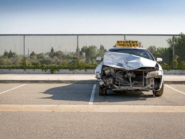 daily picdump 101 pics 8.html - 101 HD Photos | Premium Gallery 2017