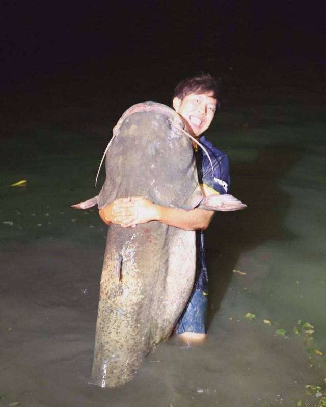 daily picdump 101 pics 8.html - 101 HD Photos | Premium Gallery 2017