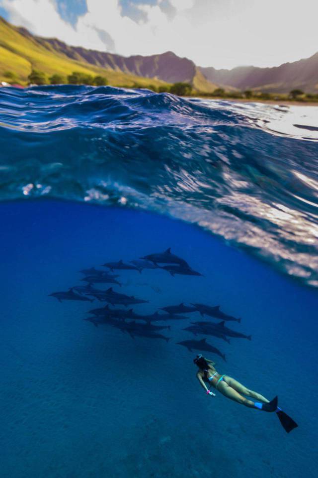 daily picdump 101 pics 8.html - 101 HD Photos | Premium Gallery 2017