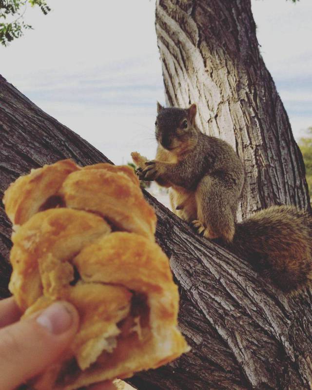 daily picdump 101 pics 8.html - 101 HD Photos | Premium Gallery 2017