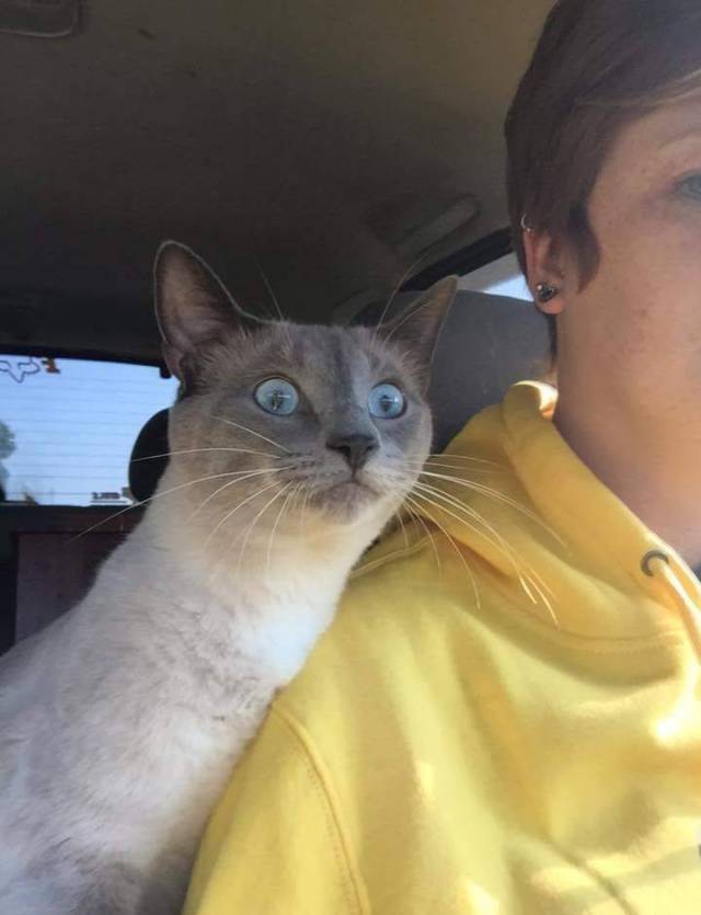 daily picdump 101 pics 8.html - 101 HD Photos | Premium Gallery 2017