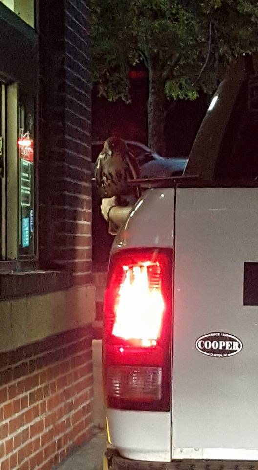 morning picdump 51 pics 12.html - 51 HD Photos | Premium Gallery 2017
