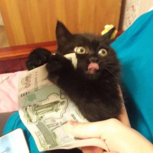 daily picdump 99 pics 10.html - 99 HD Photos | Premium Gallery 2017