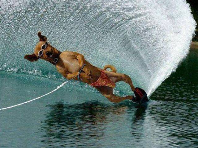 daily picdump 99 pics 10.html - 99 HD Photos | Premium Gallery 2017