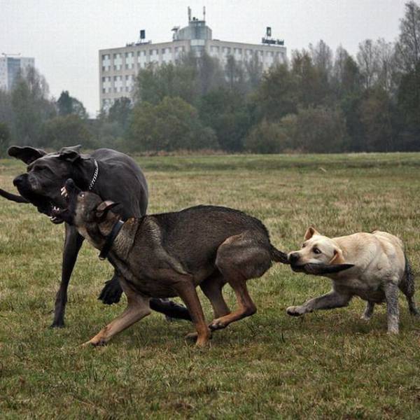 daily picdump 99 pics 10.html - 99 HD Photos | Premium Gallery 2017