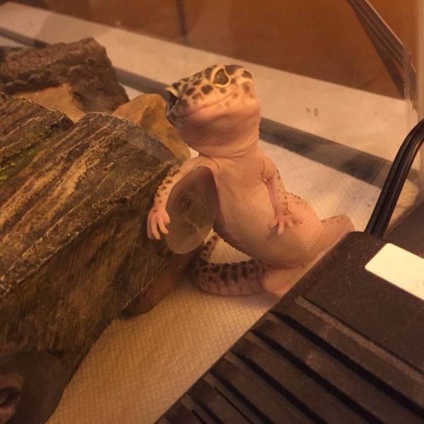 daily picdump 99 pics 10.html - 99 HD Photos | Premium Gallery 2017