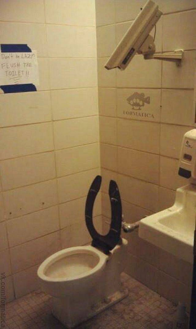 daily picdump 99 pics 10.html - 99 HD Photos | Premium Gallery 2017