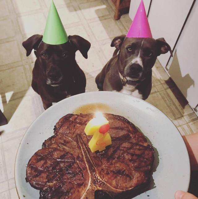 daily picdump 99 pics 10.html - 99 HD Photos | Premium Gallery 2017