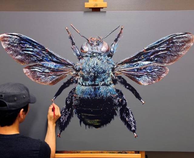 morning picdump 50 pics 18.html - 50 HD Photos | Premium Gallery 2017