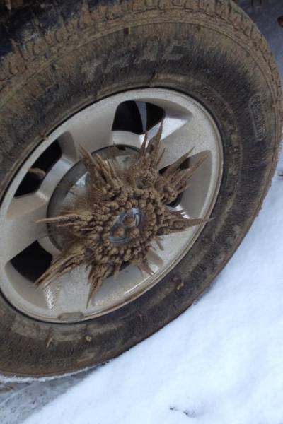 morning picdump 50 pics 18.html - 50 HD Photos | Premium Gallery 2017