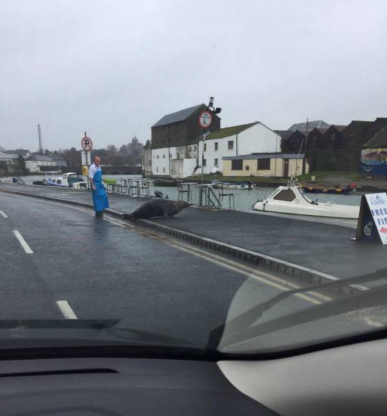 morning picdump 50 pics 18.html - 50 HD Photos | Premium Gallery 2017