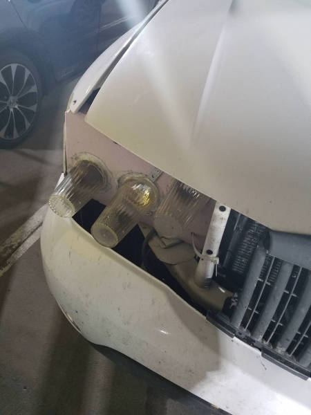 morning picdump 50 pics 18.html - 50 HD Photos | Premium Gallery 2017