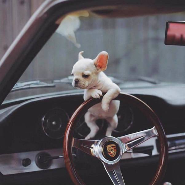 daily picdump 99 pics 1.html - 99 HD Photos | Premium Gallery 2017