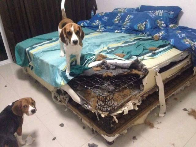 daily picdump 99 pics 1.html - 99 HD Photos | Premium Gallery 2017