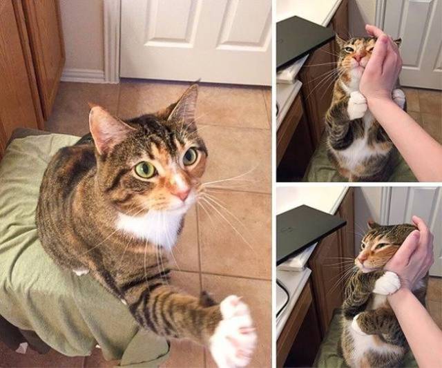 daily picdump 99 pics 1.html - 99 HD Photos | Premium Gallery 2017