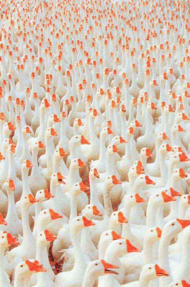 daily picdump 99 pics 1.html - 99 HD Photos | Premium Gallery 2017