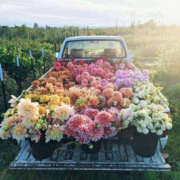 morning picdump 51 pics 9.html - 51 HD Photos | Premium Gallery 2017