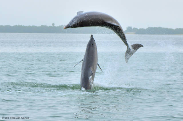 morning picdump 51 pics 9.html - 51 HD Photos | Premium Gallery 2017