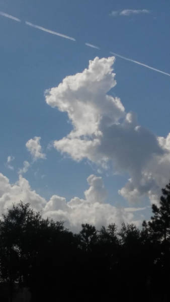 morning picdump 51 pics 9.html - 51 HD Photos | Premium Gallery 2017