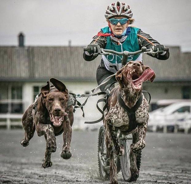 morning picdump 51 pics 9.html - 51 HD Photos | Premium Gallery 2017