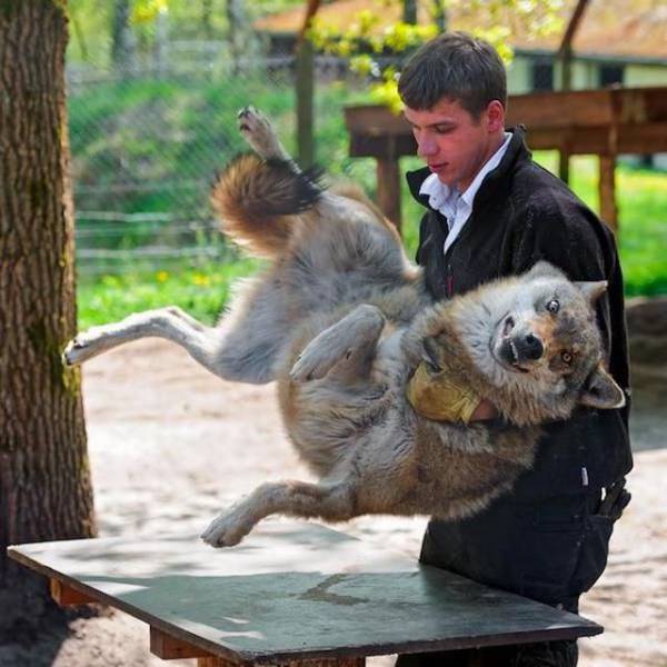 daily picdump 97 pics 24.html - 97 HD Photos | Premium Gallery 2017