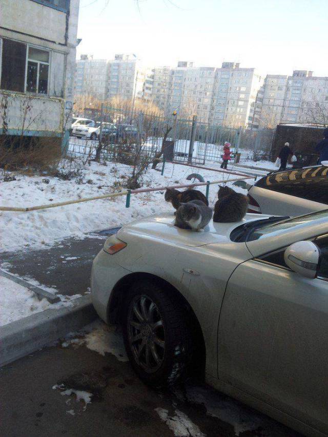 daily picdump 94 pics 5.html - 94 HD Photos | Premium Gallery 2017