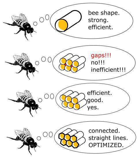 Funny Picdump