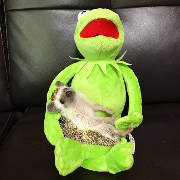 daily picdump 91 pics 20.html - 91 HD Photos | Premium Gallery 2017