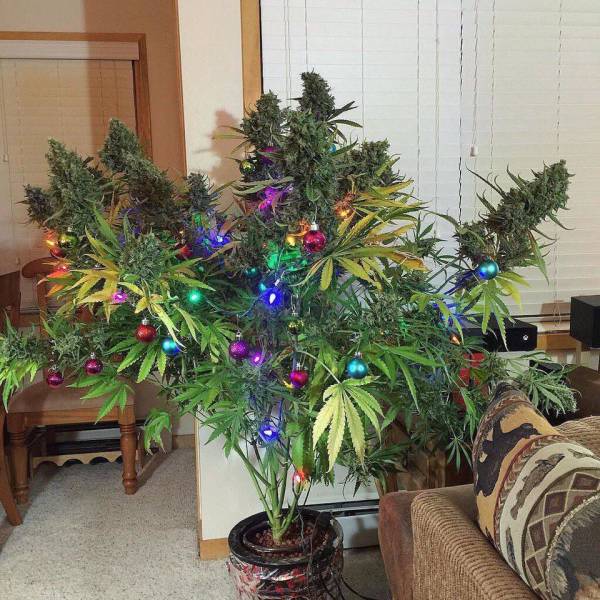 daily picdump 91 pics 20.html - 91 HD Photos | Premium Gallery 2017