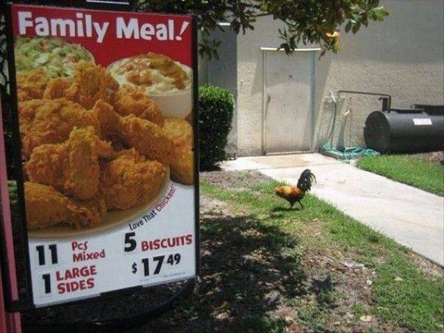 daily picdump 91 pics 20.html - 91 HD Photos | Premium Gallery 2017