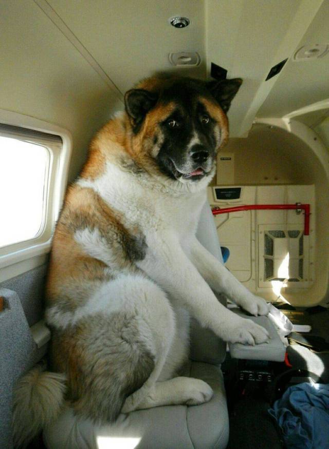 daily picdump 91 pics 20.html - 91 HD Photos | Premium Gallery 2017