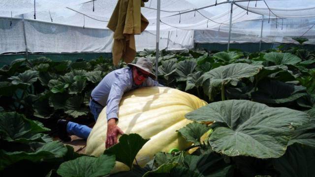 daily picdump 94 pics 2.html - 94 HD Photos | Premium Gallery 2017