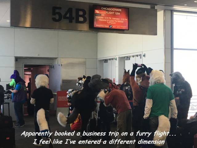 daily picdump 94 pics 2.html - 94 HD Photos | Premium Gallery 2017