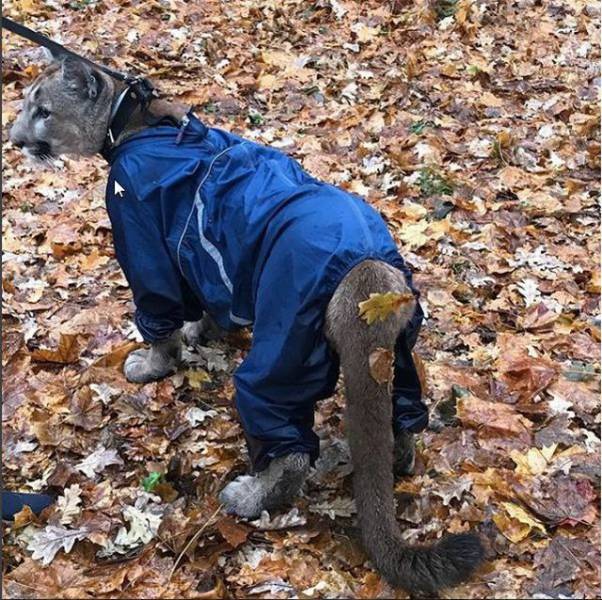 daily picdump 94 pics 2.html - 94 HD Photos | Premium Gallery 2017