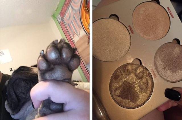 daily picdump 94 pics 2.html - 94 HD Photos | Premium Gallery 2017