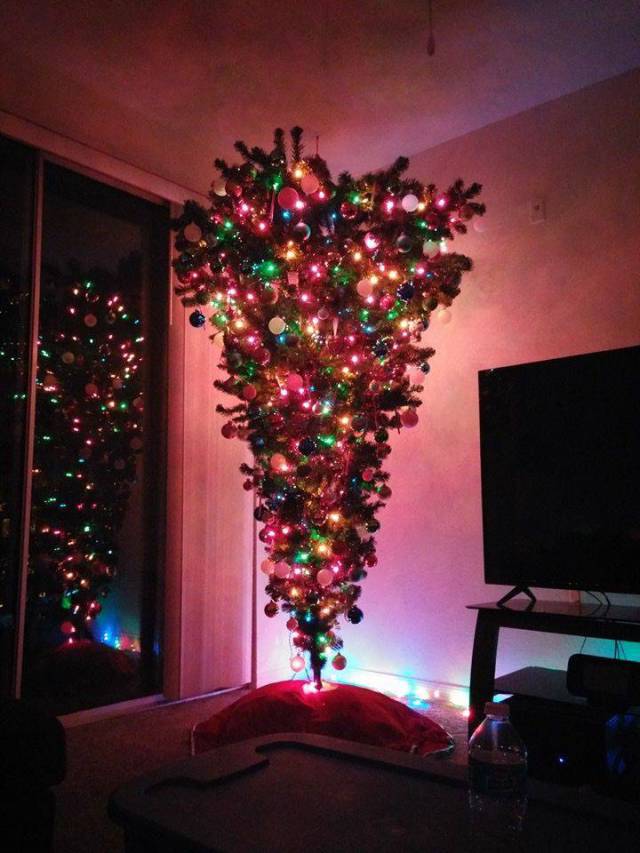 daily picdump 94 pics 2.html - 94 HD Photos | Premium Gallery 2017