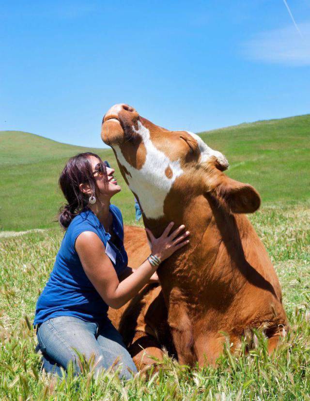 daily picdump 94 pics 2.html - 94 HD Photos | Premium Gallery 2017