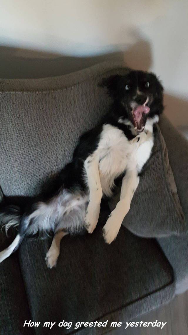 daily picdump 94 pics 2.html - 94 HD Photos | Premium Gallery 2017