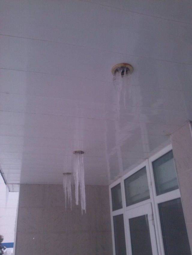 daily picdump 94 pics 2.html - 94 HD Photos | Premium Gallery 2017