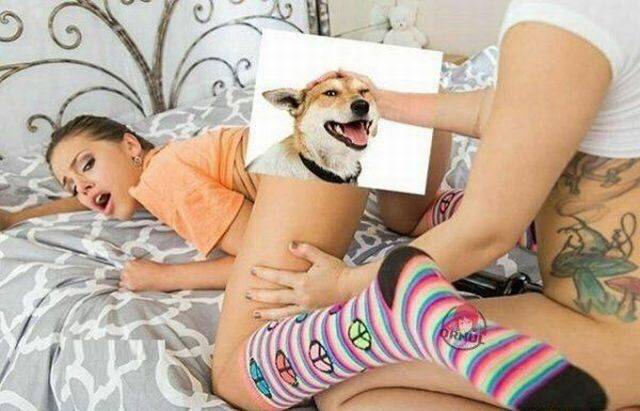 grownup corner 60 pics 9 gifs 14.html - 60 HD GIF | Premium Gallery 2017