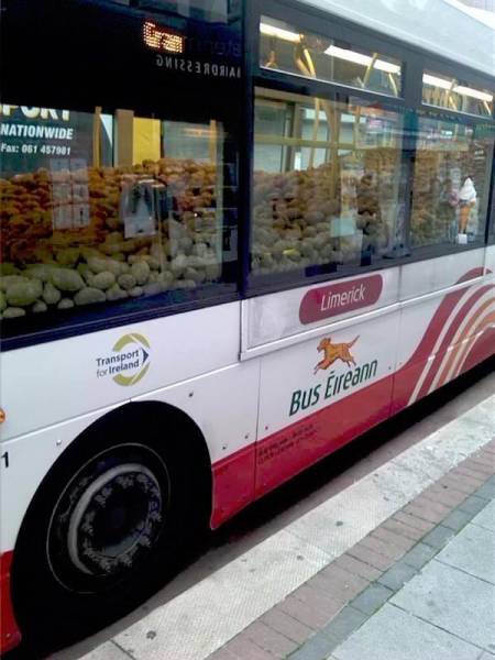 morning picdump 50 pics 23.html - 50 HD Photos | Premium Gallery 2017