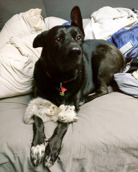 morning picdump 50 pics 23.html - 50 HD Photos | Premium Gallery 2017